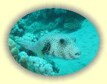 IMG_2007_05_25 14_20_46 * 2272 x 1704 * (544KB)